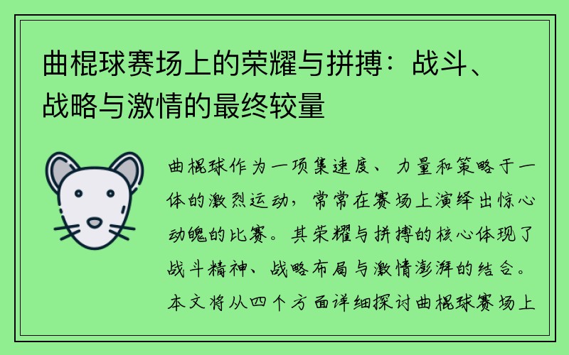 曲棍球赛场上的荣耀与拼搏：战斗、战略与激情的最终较量